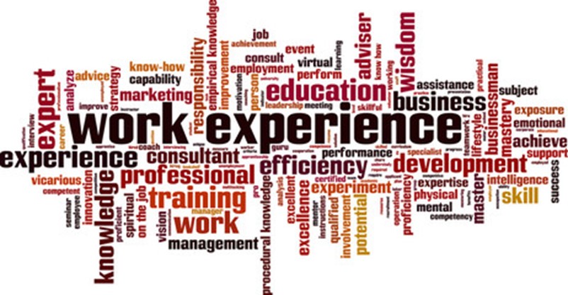 Pathways into Work